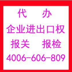 專業(yè)代理各類進出口業(yè)務，助力企業(yè)高效拓展國際市場